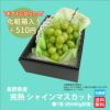 完熟　シャインマスカット　１房（約700～800ｇ） 【送料無料】