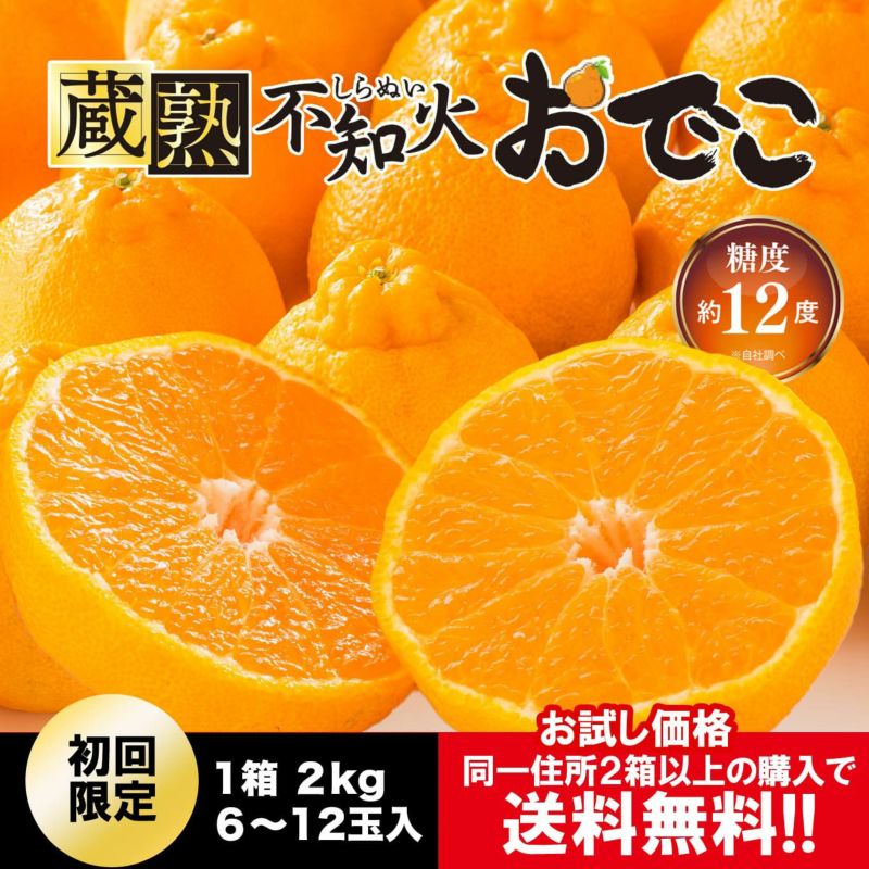 ≪お試し価格≫蔵熟不知火おでこ 約2kg（6～12玉入り 大小混合）※同一住所2箱以上のご注文で送料無料！1月下旬～２月上旬出荷予定