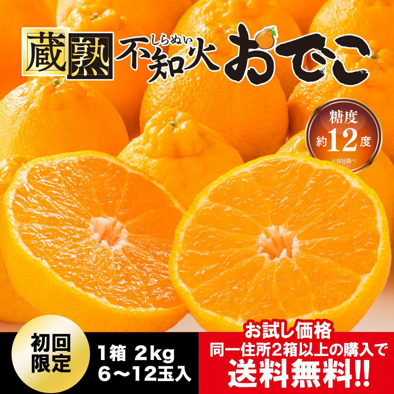 ≪お試し価格≫蔵熟不知火おでこ 約2kg（6～12玉入り 大小混合）※同一住所2箱以上のご注文で送料無料！1月下旬～２月上旬出荷予定