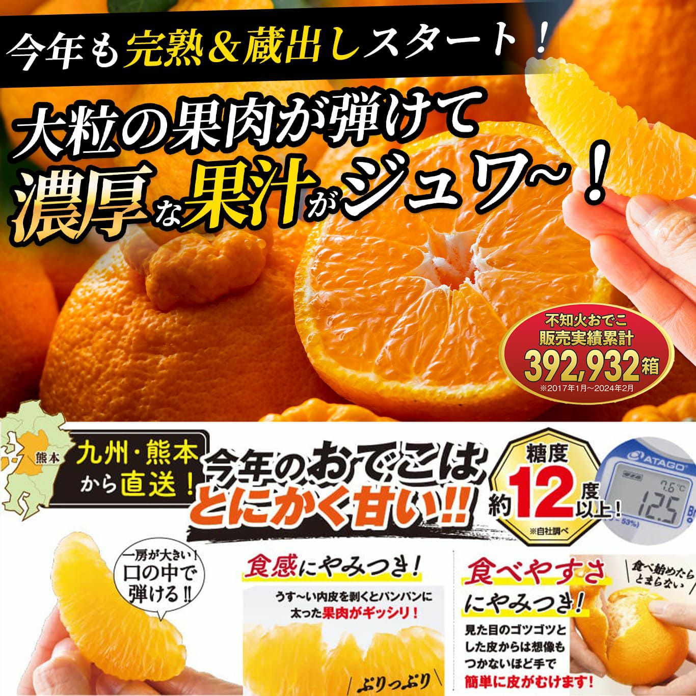 ≪お試し価格≫蔵熟不知火おでこ 約2kg（6～12玉入り 大小混合）※同一住所2箱以上のご注文で送料無料！1月下旬～２月上旬出荷予定