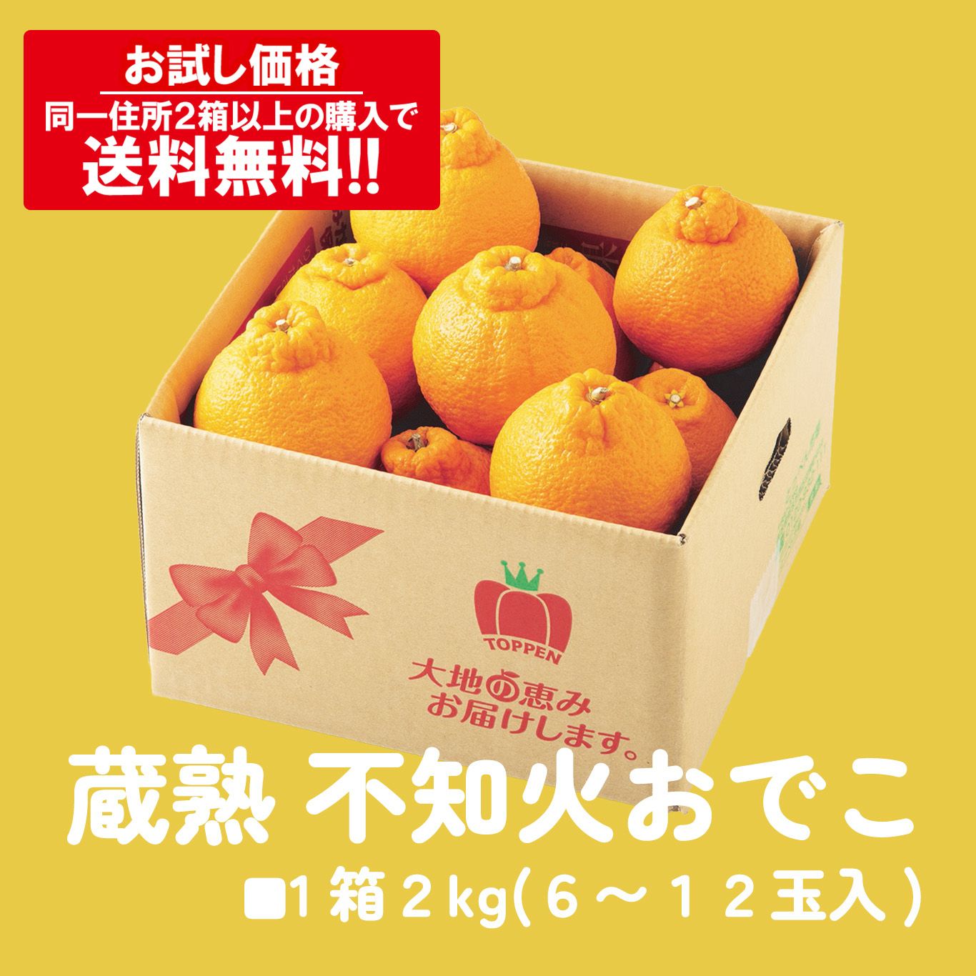 ≪お試し価格≫蔵熟不知火おでこ 約2kg（6～12玉入り 大小混合）※同一住所2箱以上のご注文で送料無料！1月下旬～２月上旬出荷予定