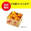 ≪お試し価格≫蔵熟不知火おでこ 約2kg（6～12玉入り 大小混合）※同一住所2箱以上のご注文で送料無料！1月下旬～２月上旬出荷予定