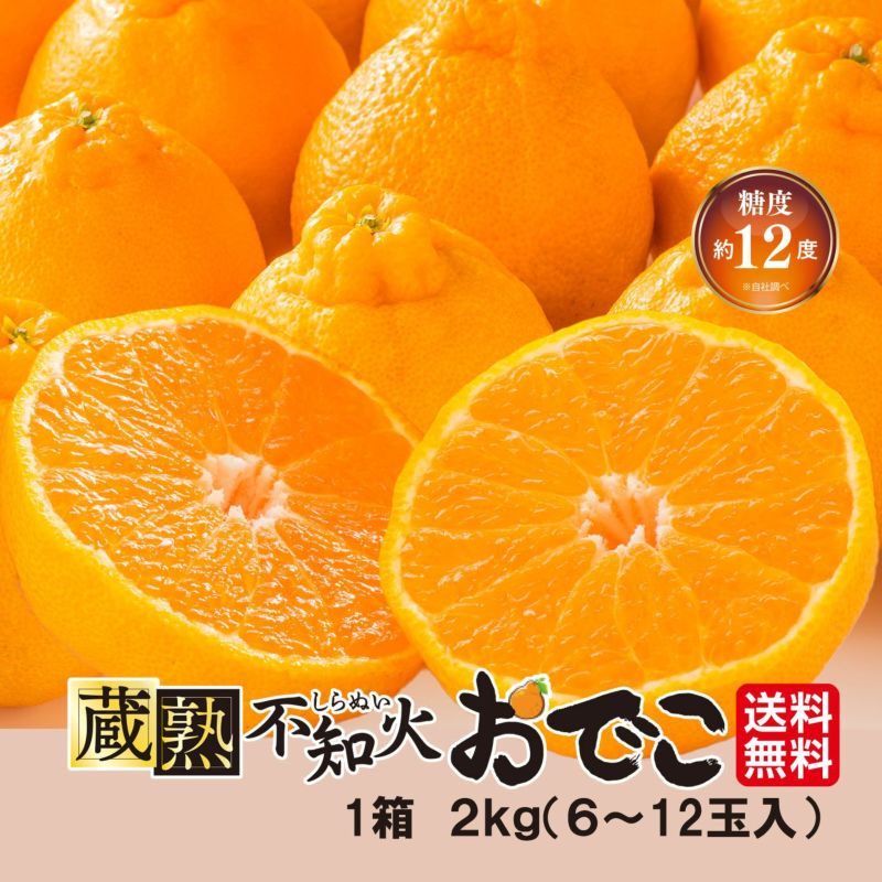 蔵熟不知火おでこ 約2kg（6～12玉入り 大小混合）【送料無料】