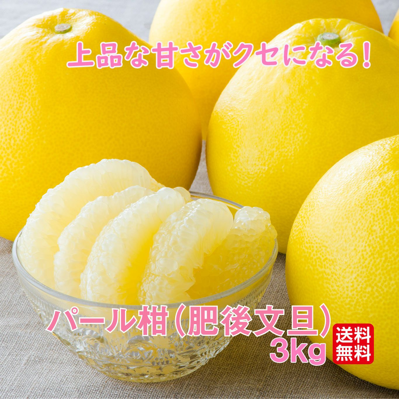 完熟　パール柑〔肥後文旦〕 約3kg（5～8玉）【送料無料】