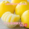 完熟　パール柑〔肥後文旦〕 約3kg（5～8玉）【送料無料】