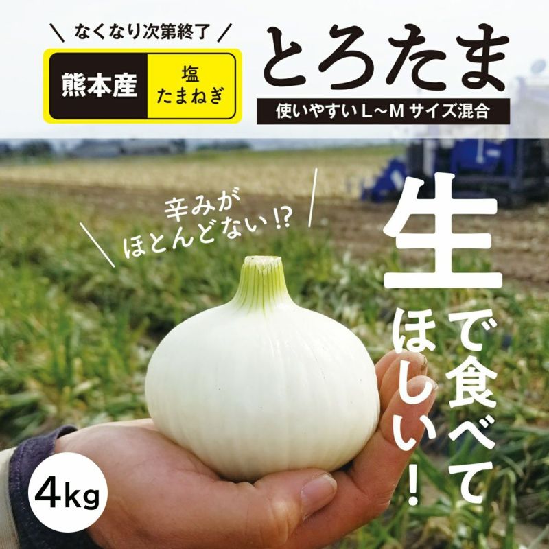 生でも火を通しても甘～い！ 熊本産 塩たまねぎ「とろたま」4kg（15玉前後）