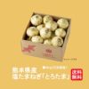 生でも火を通しても甘～い！ 熊本産 塩たまねぎ「とろたま」4kg（15玉前後）