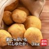 鹿児島県産　新じゃがいも「にしゆたか」 大玉3kg（17玉前後）【送料無料】