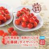 山形県産直！完熟さくらんぼ「佐藤錦」ダイヤパック（100ｇ×２パック）【送料無料】