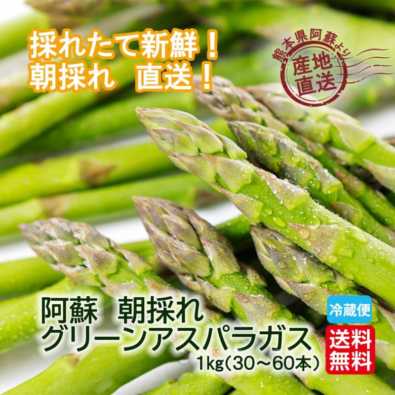 熊本県阿蘇産直！朝採れ 初物グリーンアスパラガス　約１ｋｇ（３０～６０本）【送料無料】
