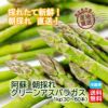 熊本県阿蘇産直！朝採れ 初物グリーンアスパラガス　約１ｋｇ（３０～６０本）【送料無料】