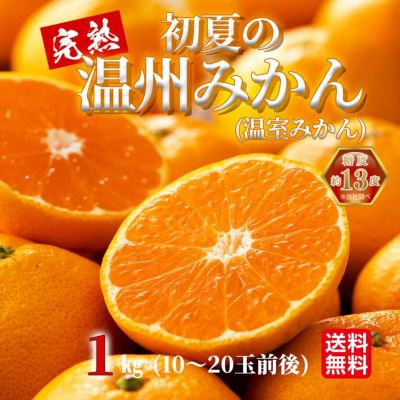27日〜30日発送お休み○みかんページ 2月中旬頃～【せとか(ご家庭用) 約3kg】小林果園 愛媛県 西宇和