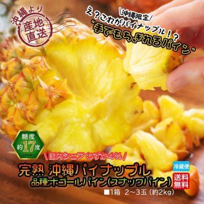 沖縄産直！完熟沖縄パイナップル (スナックパイン) 1箱：2～3玉