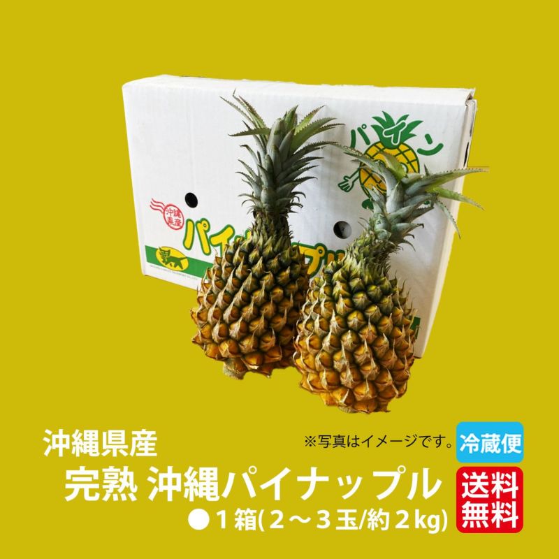 沖縄直送/完熟スナックパイン/約10kg入（10～12玉） 石垣島産スナックパイン 約10kg（8玉〜17玉） 沖縄産