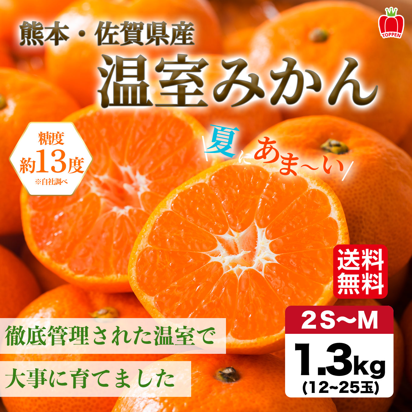 熊本県産　ハウス栽培　温州みかん 1.3kg（10～20玉入り）【送料無料】
