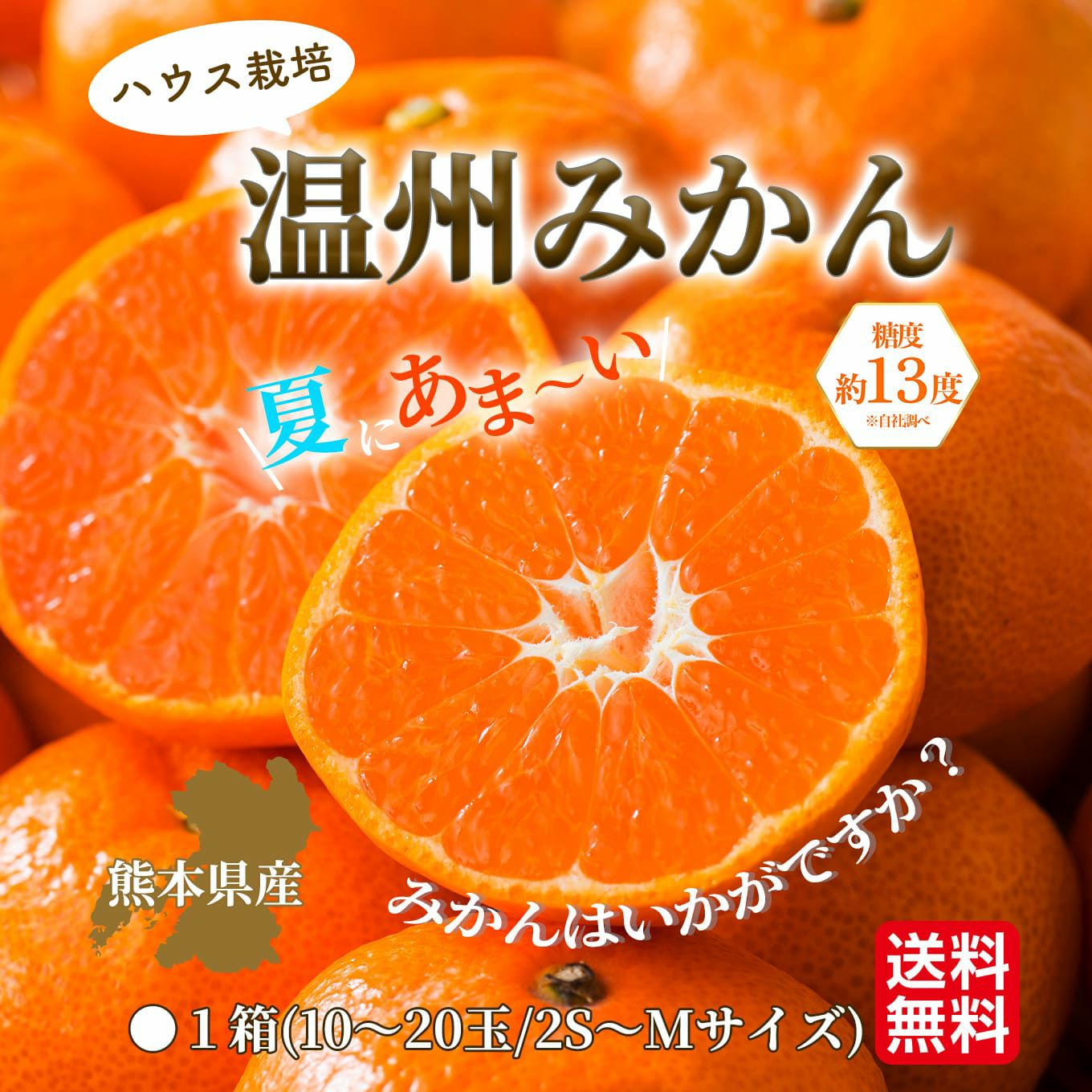 熊本県産　ハウス栽培　温州みかん 1.3kg（10～20玉入り）【送料無料】
