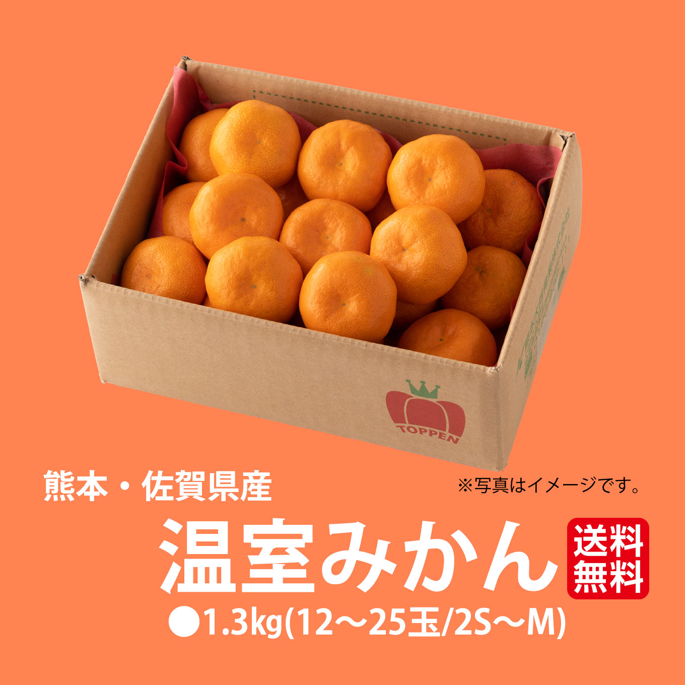 熊本県産　ハウス栽培　温州みかん 1.3kg（10～20玉入り）【送料無料】