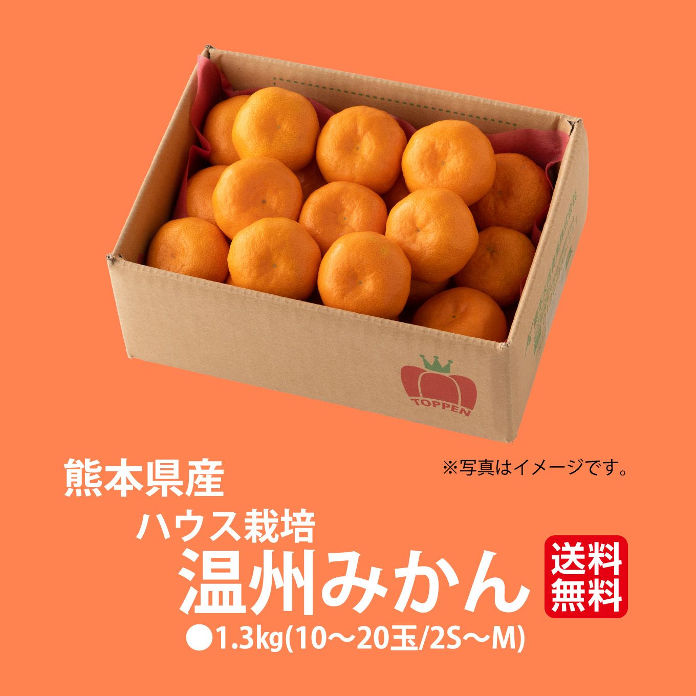 熊本県産　ハウス栽培　温州みかん 1.3kg（10～20玉入り）【送料無料】