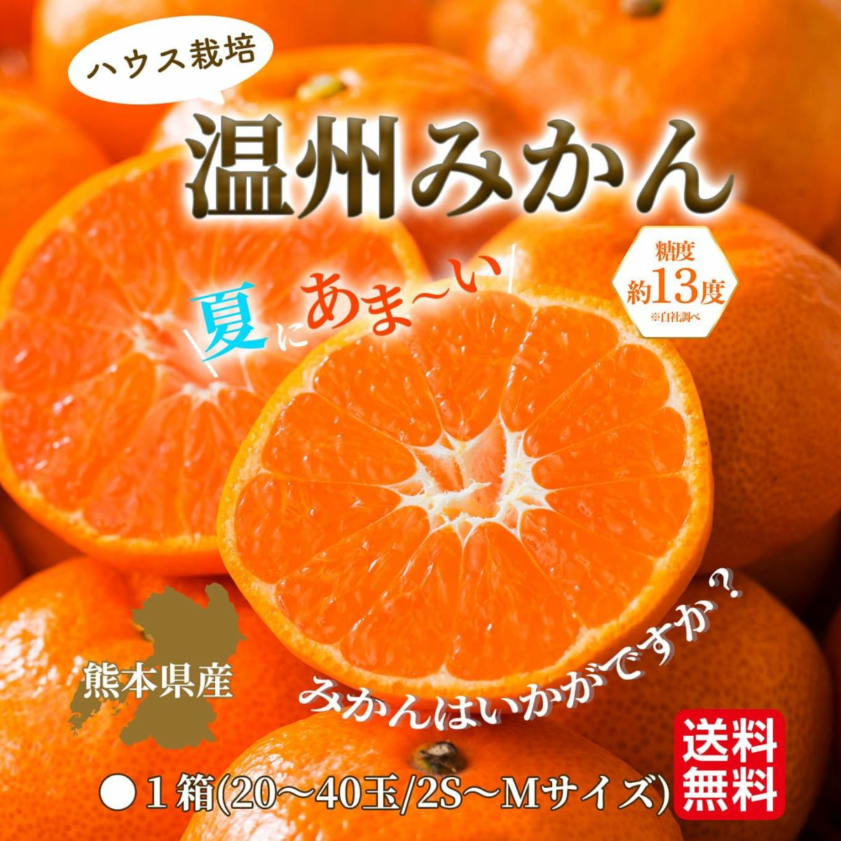 熊本県産　ハウス栽培　温州みかん 2.3kg（20～40玉入り）【送料無料】