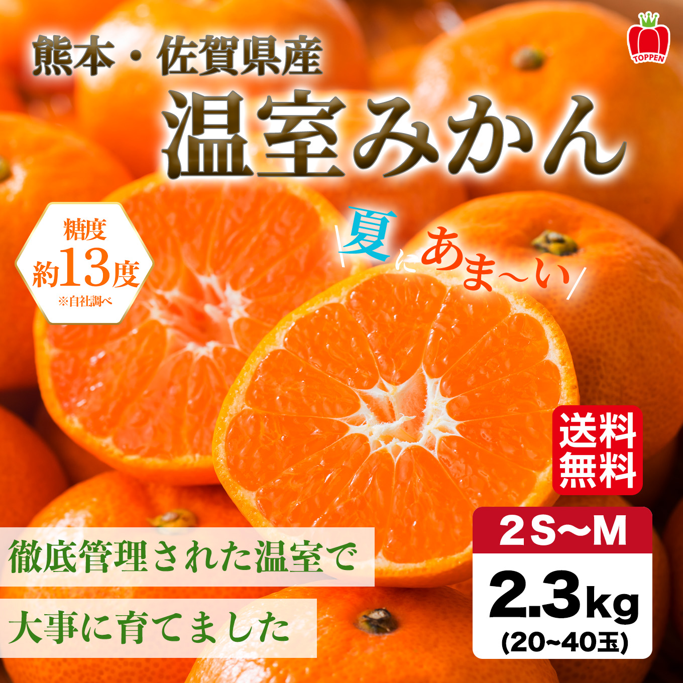 熊本県産　ハウス栽培　温州みかん 2.3kg（20～40玉入り）【送料無料】