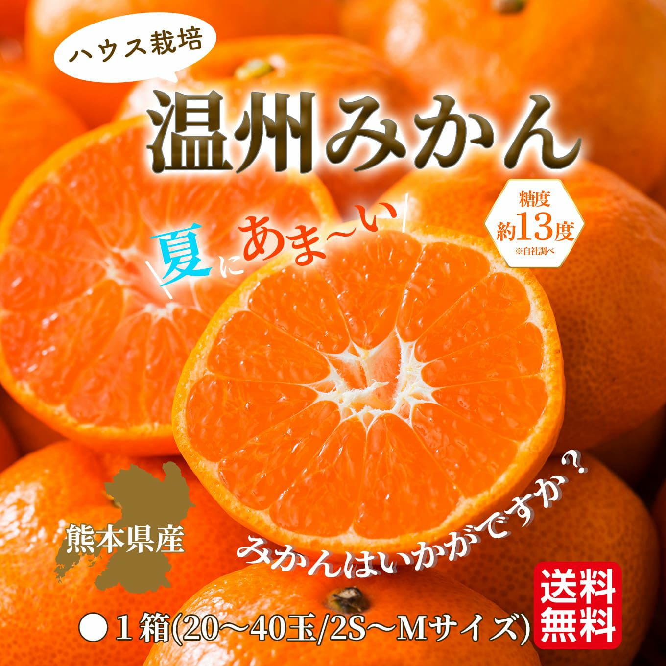 熊本県産　ハウス栽培　温州みかん 2.3kg（20～40玉入り）【送料無料】