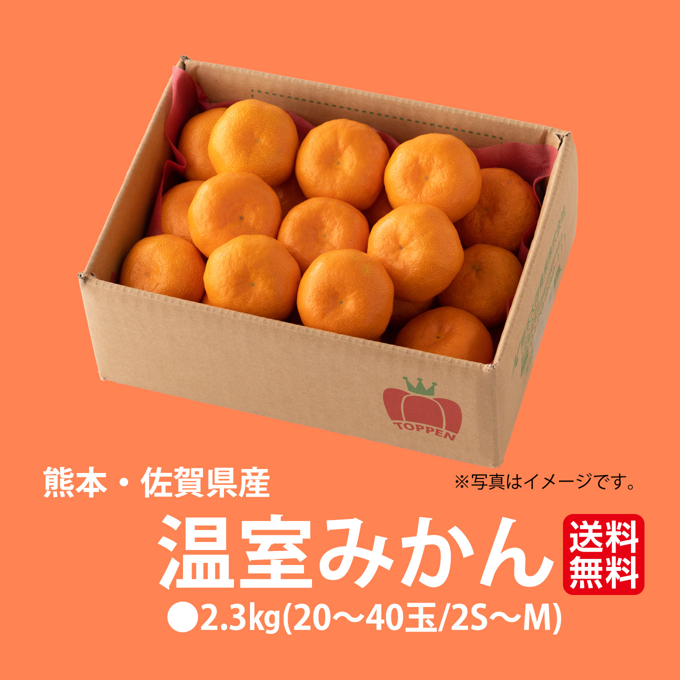 熊本県産　ハウス栽培　温州みかん 2.3kg（20～40玉入り）【送料無料】