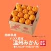 熊本県産　ハウス栽培　温州みかん 2.3kg（20～40玉入り）【送料無料】