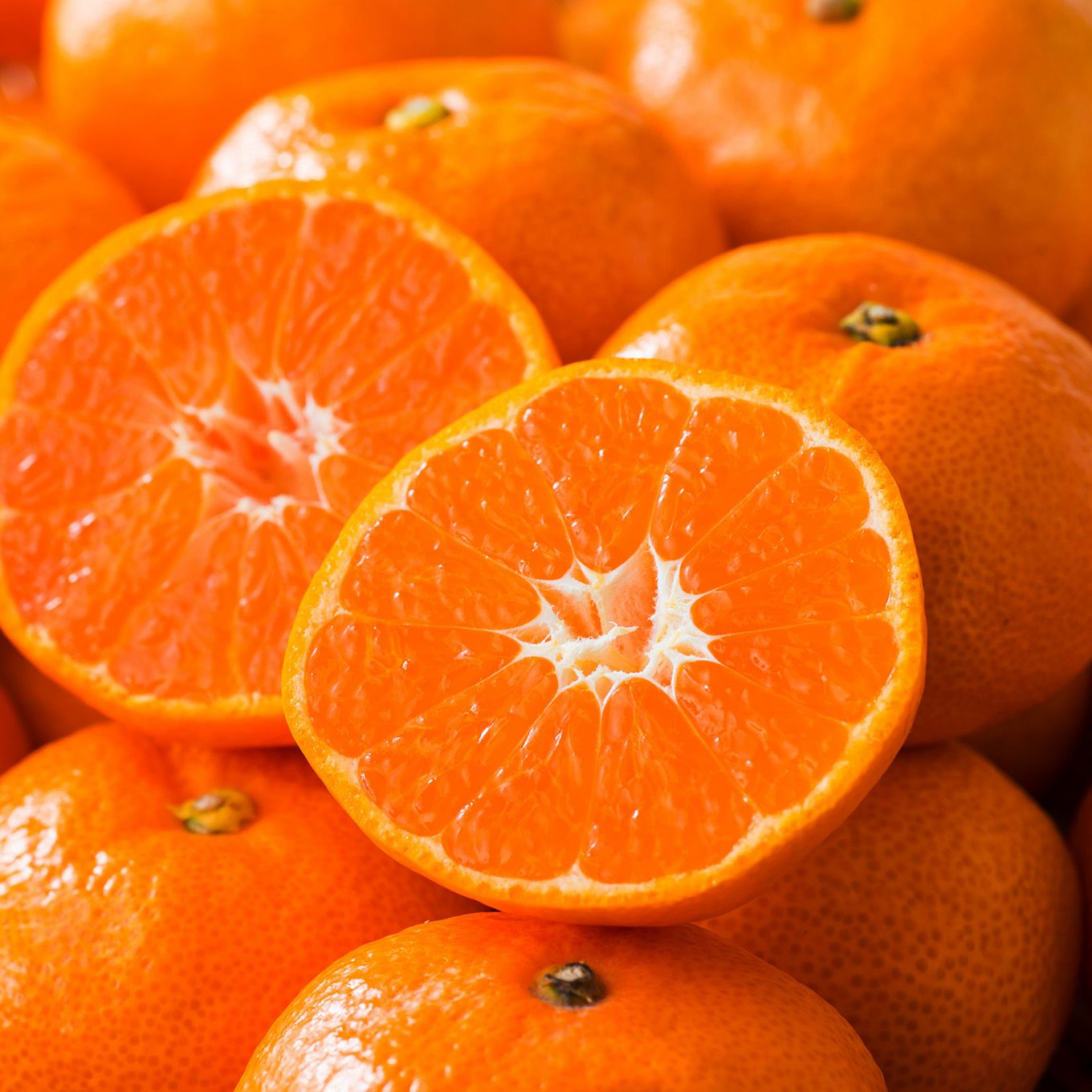 熊本県産　ハウス栽培　温州みかん 2.3kg（20～40玉入り）【送料無料】