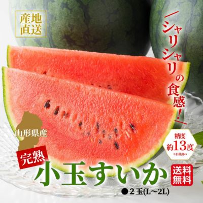 熊本産西瓜メロン imgrc0111139129.jpg?fitin=272:272