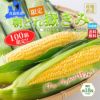 青森県産　朝どれ嶽きみ（とうもろこし）　５本　【送料無料】