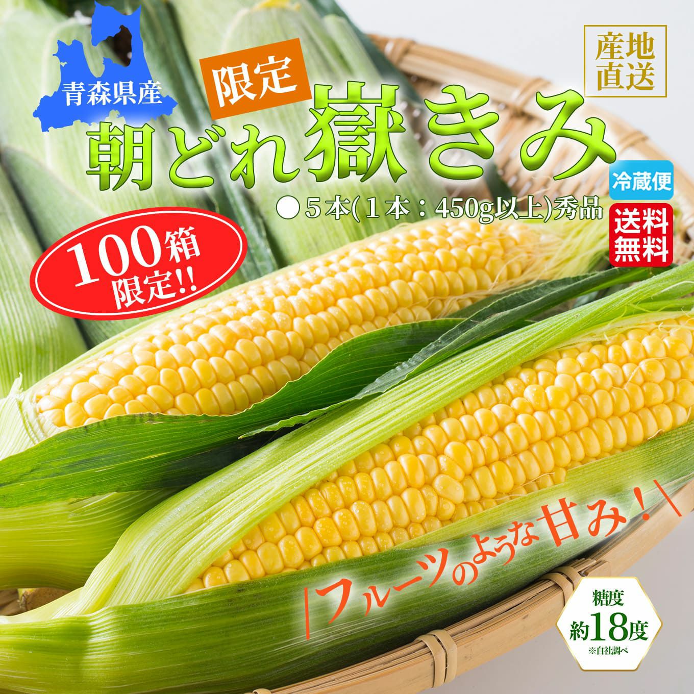 青森県産　朝どれ嶽きみ（とうもろこし）　５本　【送料無料】