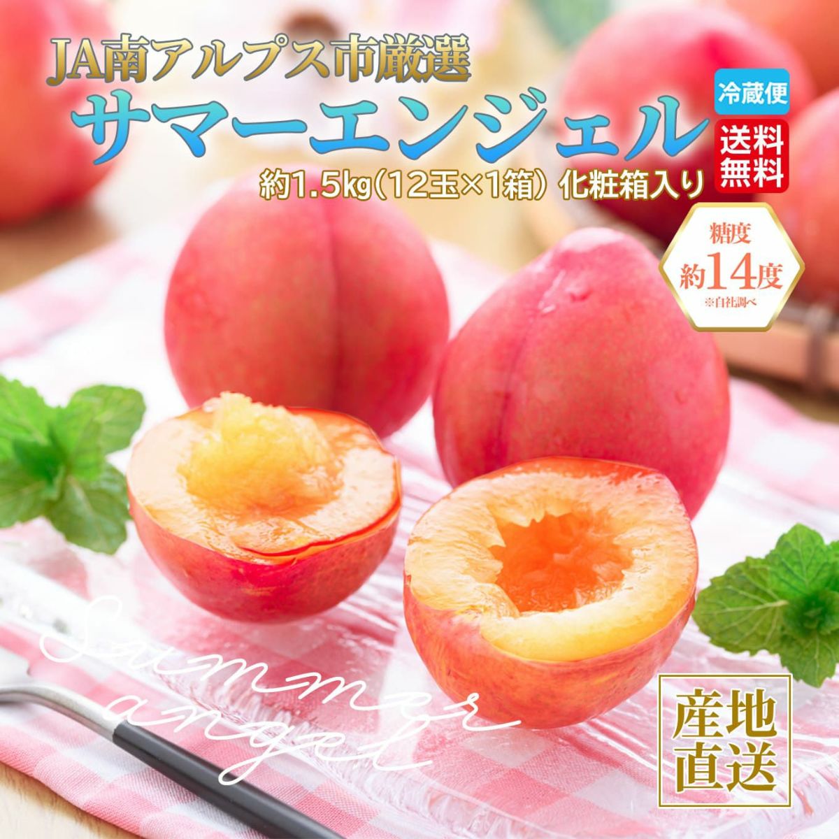 高糖度すもも　サマーエンジェル　約1.5ｋｇ（12玉入）【送料無料】