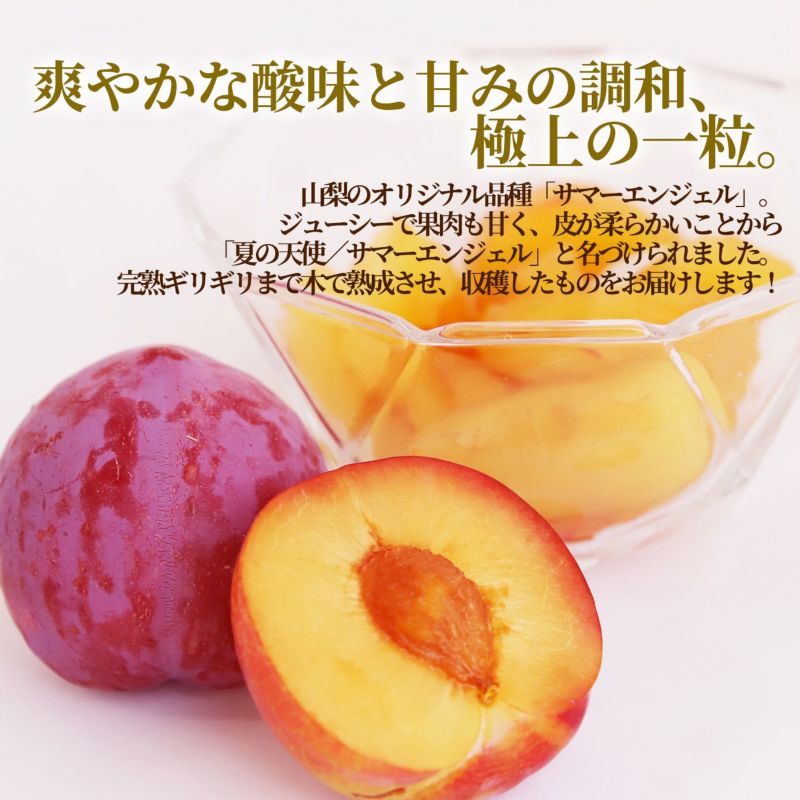 すももさま専用 高糖度すもも サマーエンジェル 約1.5kg（12玉入）【送料無料