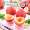 高糖度すもも　サマーエンジェル　約1.5ｋｇ（12玉入）×２【送料無料】