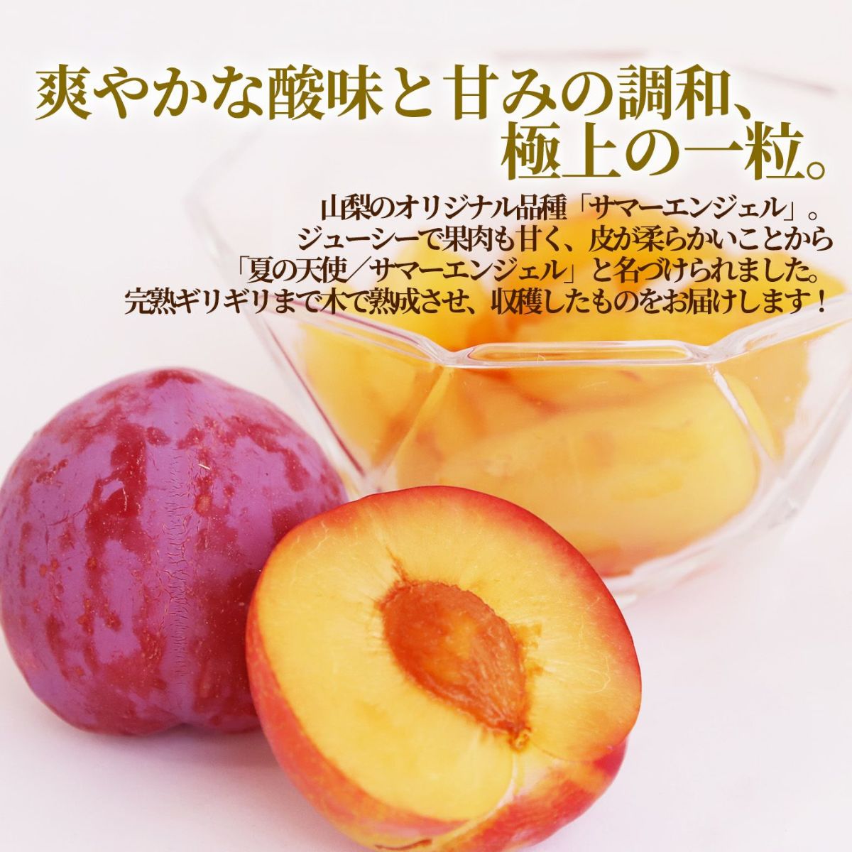 高糖度すもも　サマーエンジェル　約1.5ｋｇ（12玉入）×２【送料無料】