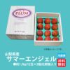 高糖度すもも　サマーエンジェル　約1.5ｋｇ（12玉入）×２【送料無料】