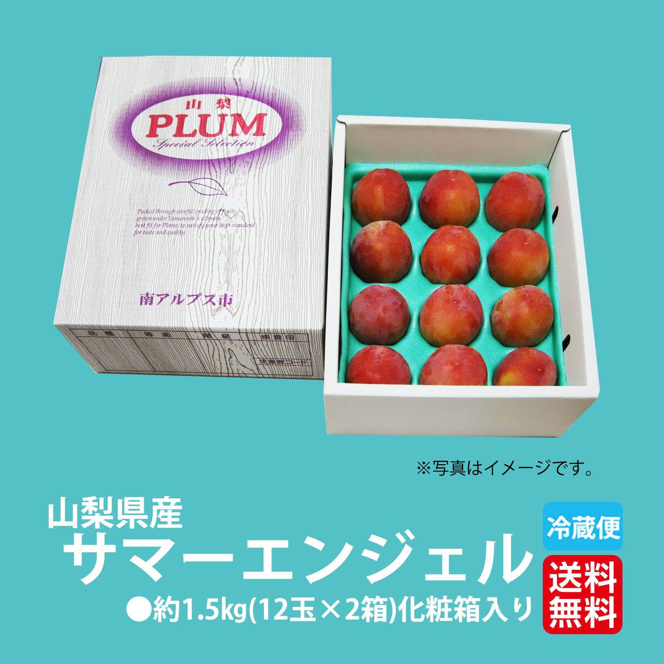 高糖度すもも　サマーエンジェル　約1.5ｋｇ（12玉入）×２【送料無料】
