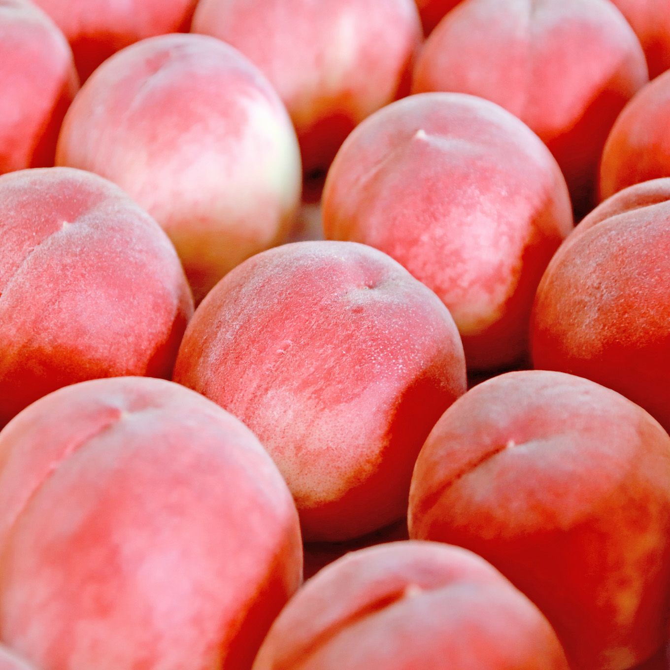 山梨県産　完熟桃　約3kg（9～12玉入／化粧箱入）【送料無料】