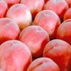 山梨県産　完熟桃　約3kg（9～12玉入／化粧箱入）【送料無料】