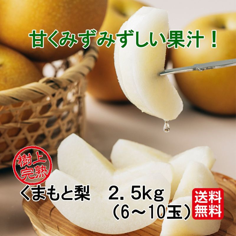 完熟くまもと梨 約2.5kg（6～10玉入り）【送料無料】