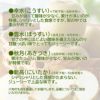 完熟くまもと梨 約2.5kg（6～10玉入り）【送料無料】