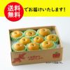 完熟くまもと梨 約2.5kg（6～10玉入り）【送料無料】