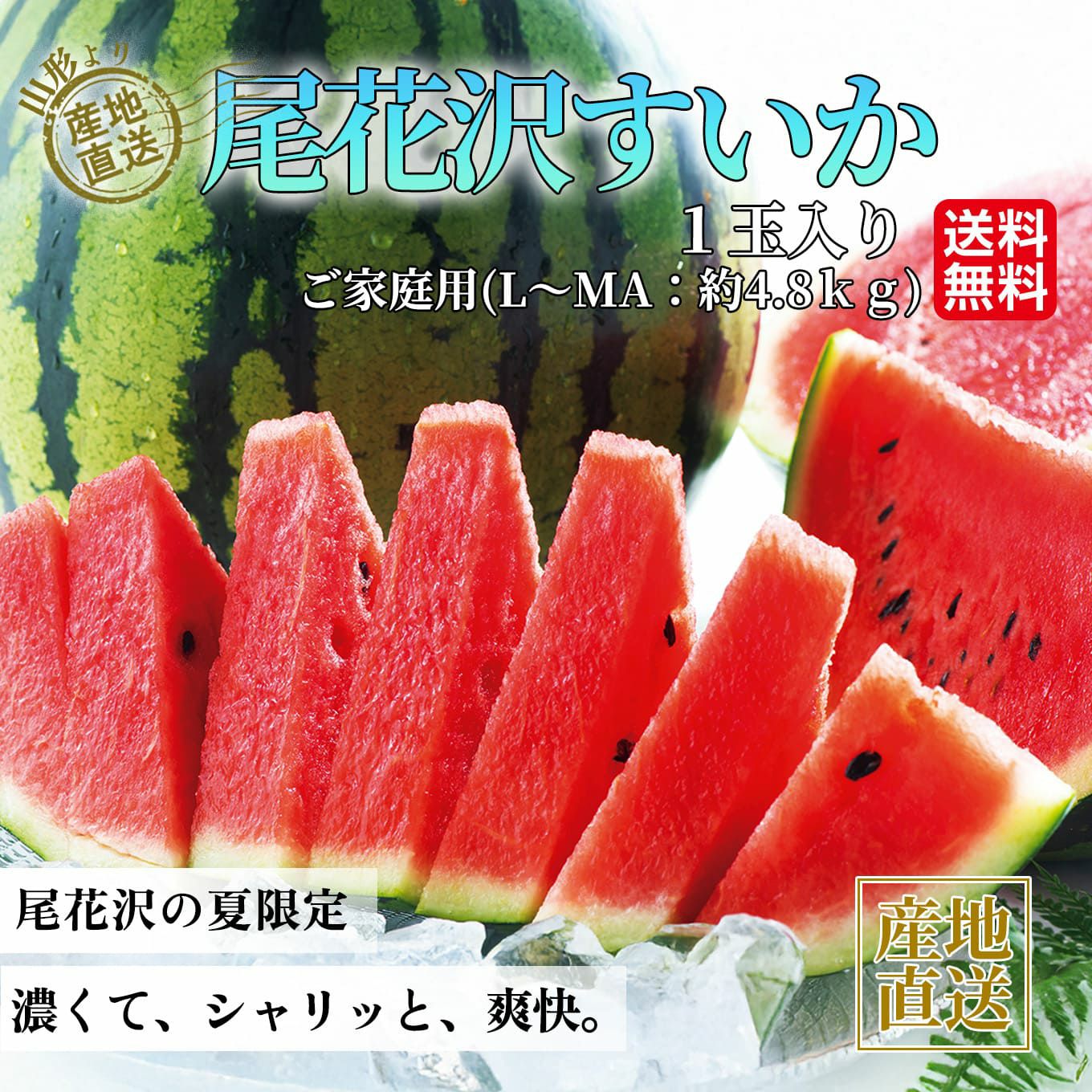 ご家庭用　尾花沢すいか（１玉：約4.8㎏以上）【送料無料】