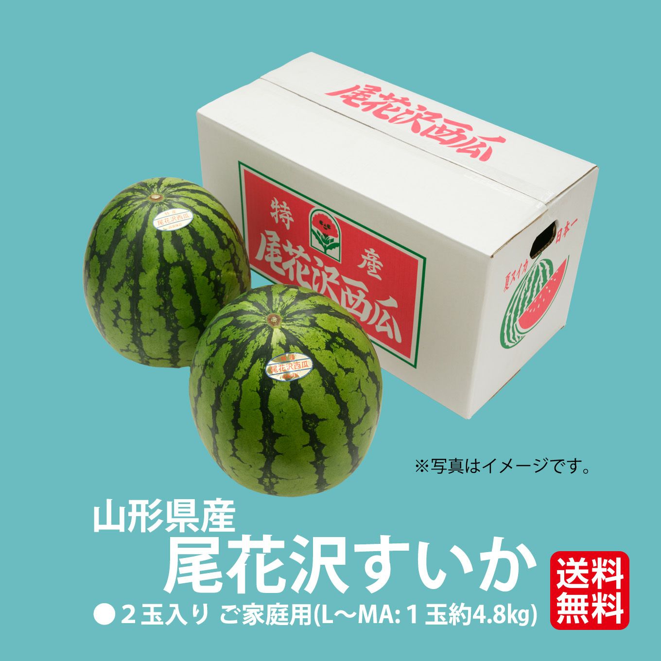 ご家庭用　尾花沢すいか（２玉：1玉／約4.8㎏以上）【送料無料】