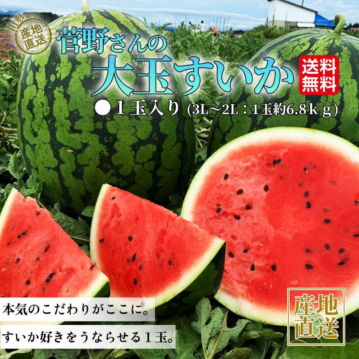  菅野さんの大玉すいか（１玉：約6.8㎏以上／３L～２L）【送料無料】
