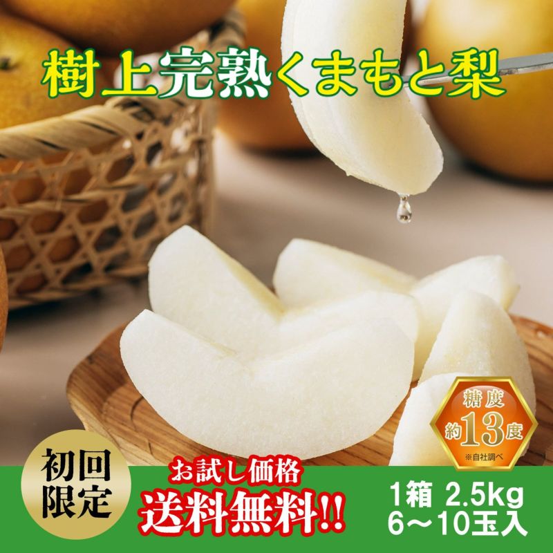  ≪初回限定お試し価格・送料無料≫完熟くまもと梨 約2.5kg（6～10玉入り）