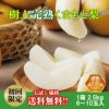  ≪初回限定お試し価格・送料無料≫完熟くまもと梨 約2.5kg（6～10玉入り）