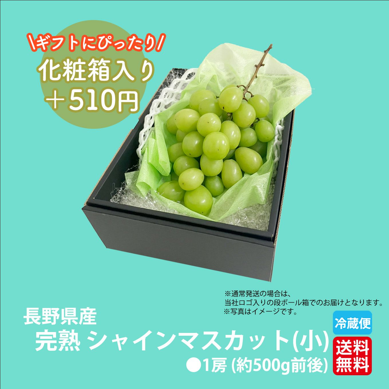 完熟　シャインマスカット（小）　１房（500ｇ前後） 【送料無料】