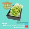 完熟　シャインマスカット（小）　１房（500ｇ前後） 【送料無料】