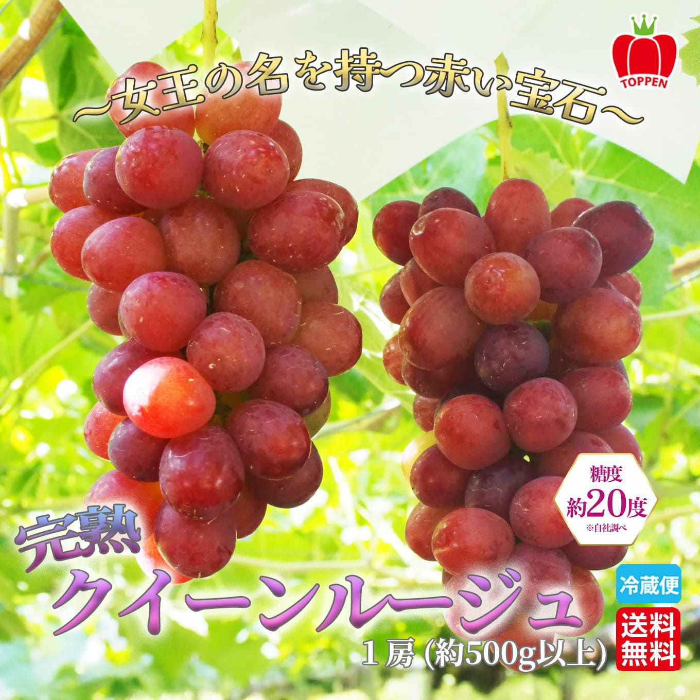 完熟 クイーンルージュ 1房（約500g前後） 【送料無料】 - とっぺん市場